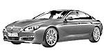 BMW F06 P117C Fault Code
